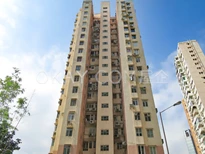 Building Outlook - Chun Fai Road Side
