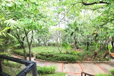 Public garden area