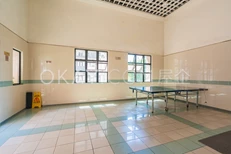 Table Tennis Court