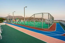 Basketball Court