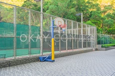 Basketball Court