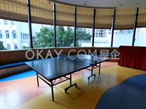 Table Tennis Court
