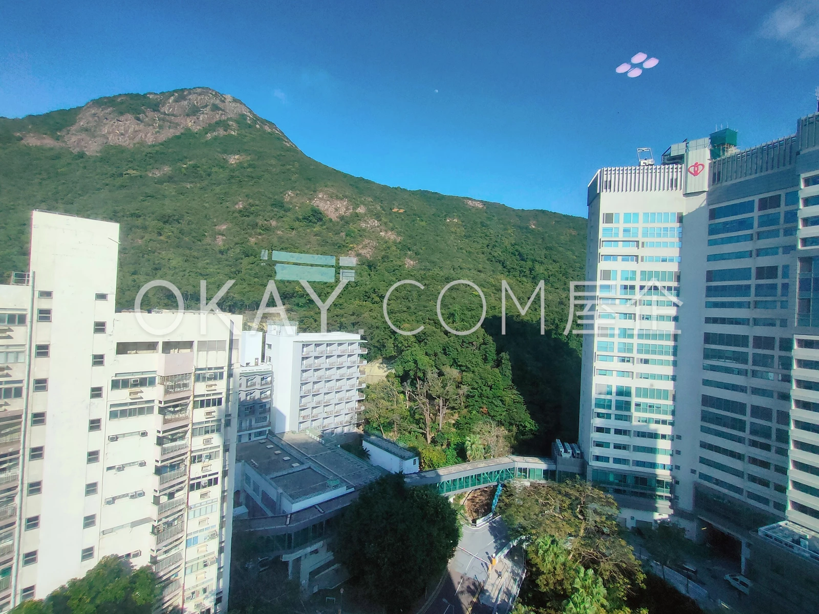 Mountain and Queen Mary Hospital View