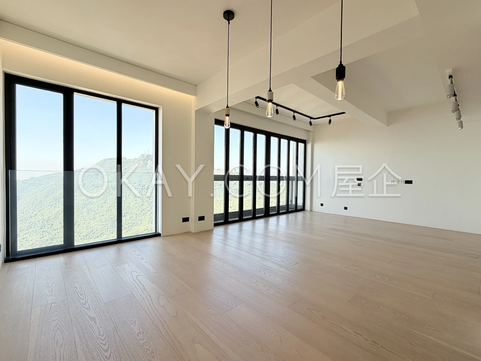 Living and Dining Room