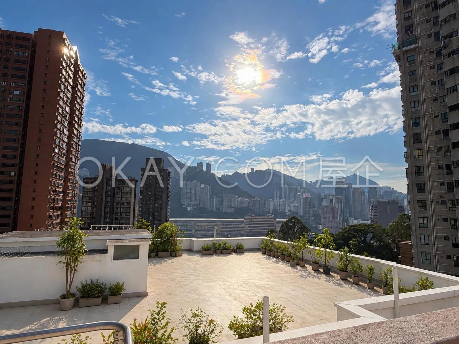 View from the rooftop 
