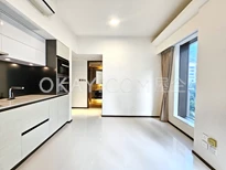 Regent Hill - For Rent - 355 SF - HK$ 7.7M - #294636