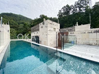 Private Swimming Pool & Roof