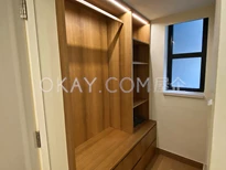 walk-in cabinet