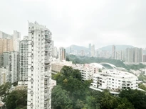 View from Dining Room