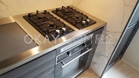 Gas Stove and self-cleaning oven