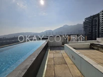 Rooftop with swimming pool